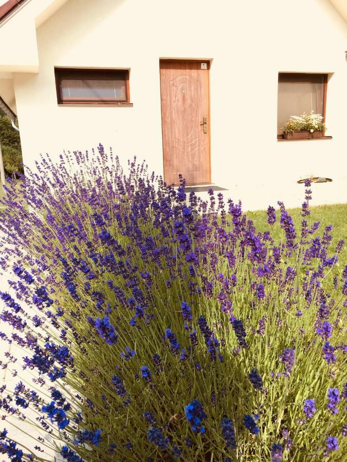 Grand Spa Holiday Home Склене-Тепліце Екстер'єр фото